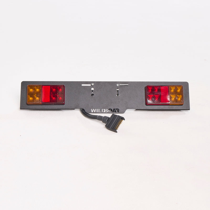 Load image into Gallery viewer, Road Legal Light and Plate Kit
